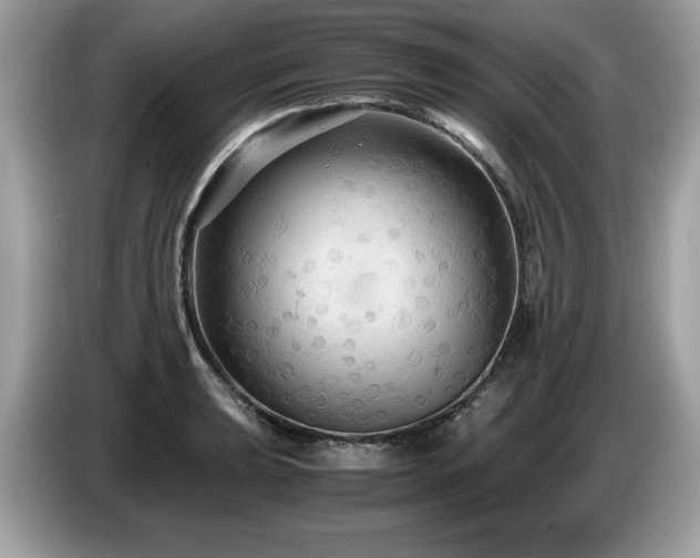 X0000087521039200704271137