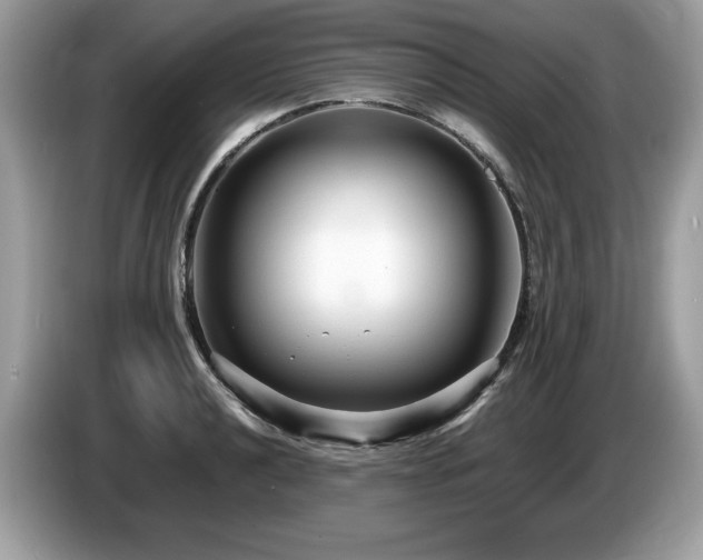 X0000087521040200704271137