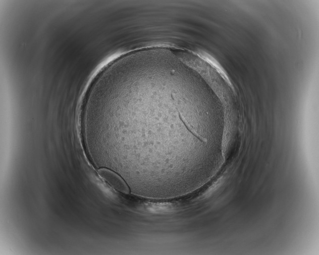 X0000087521043200704271137