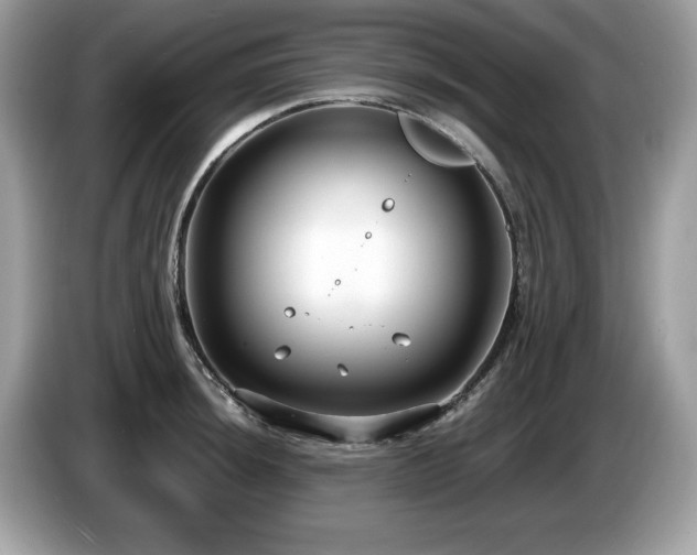 X0000087521044200704271137