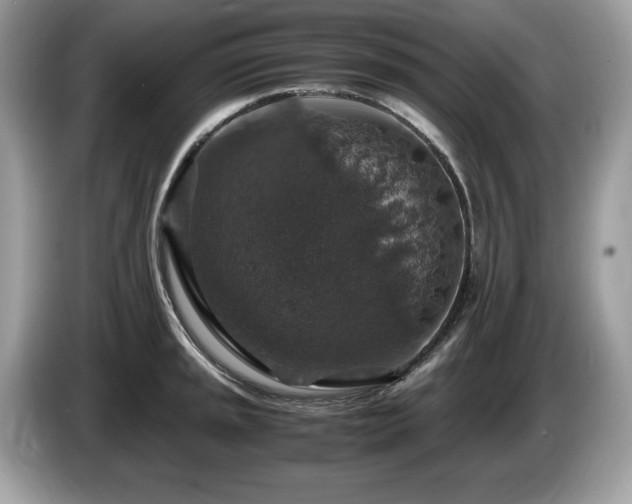 X0000087521045200704271137
