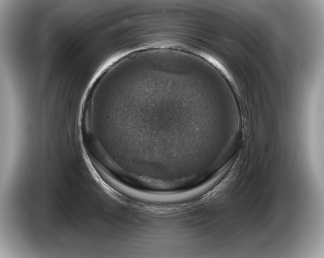 X0000087521046200704271137