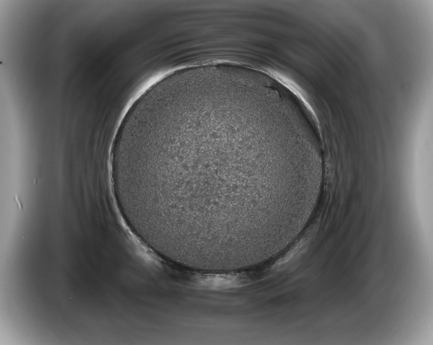 X0000087521047200704271137