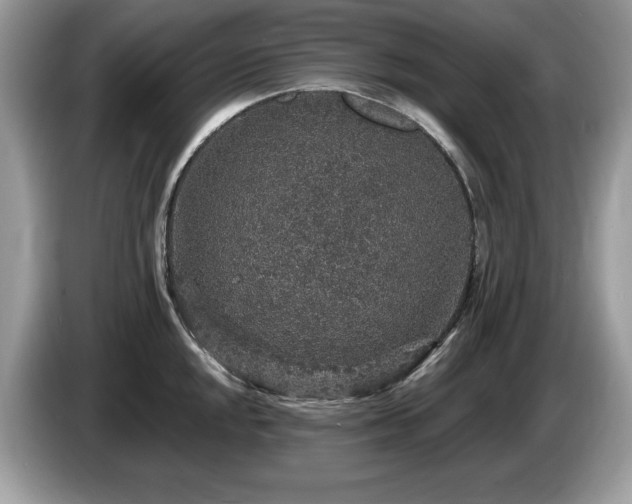 X0000087521048200704271137