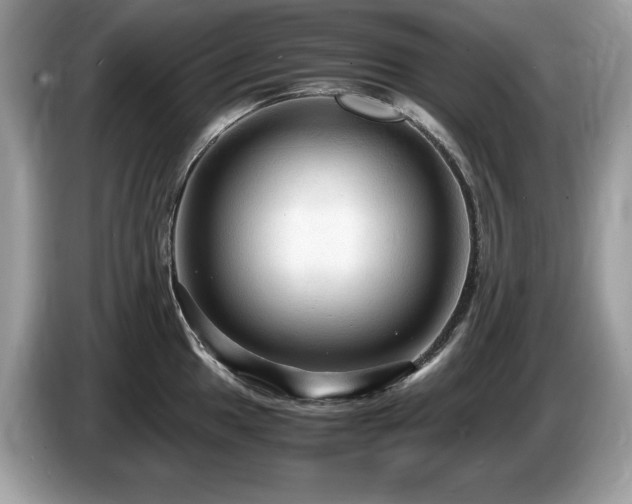 X0000087521049200704271137