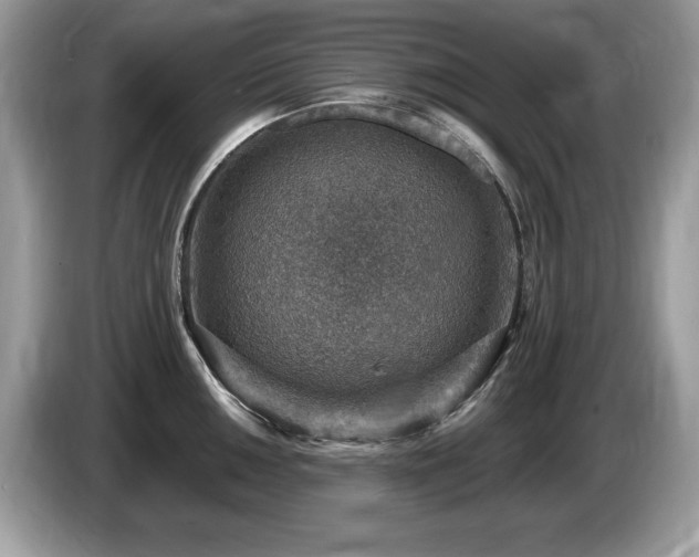 X0000087521050200704271137