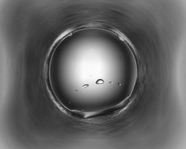 X0000087521053200704271137