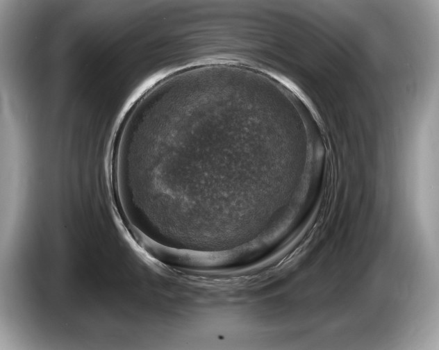 X0000087521054200704271137