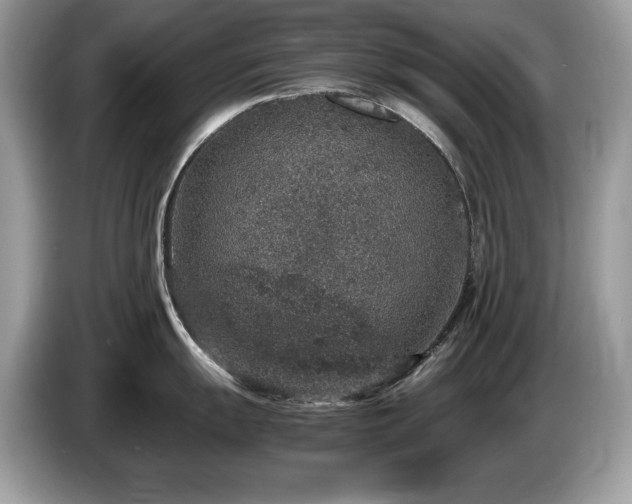 X0000087521055200704271137