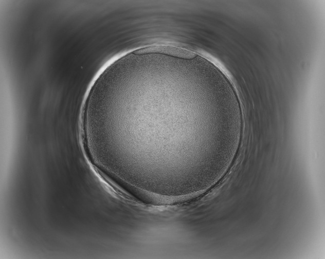X0000087521056200704271137