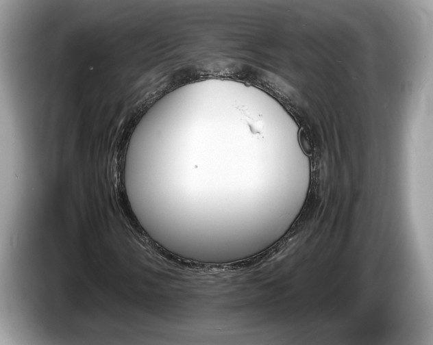 X0000087521058200704271136