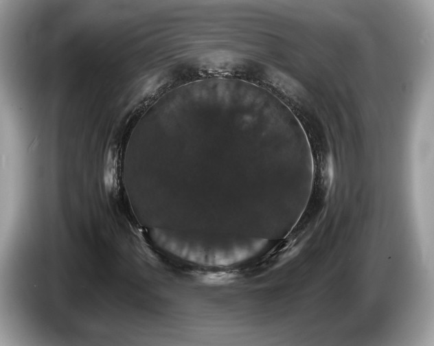 X0000087521060200704271136
