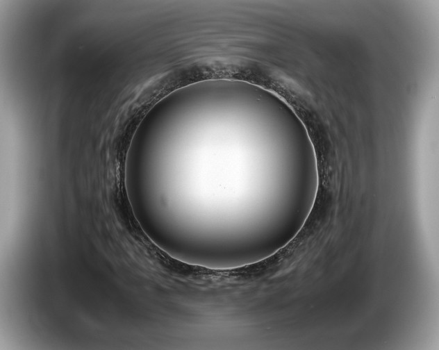 X0000087521061200704271136