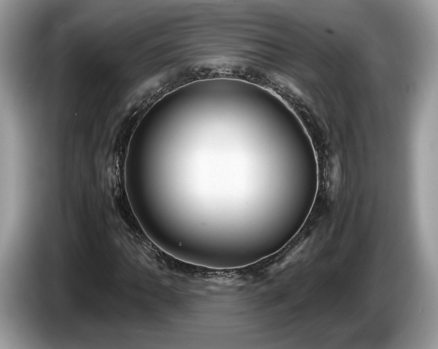 X0000087521062200704271136