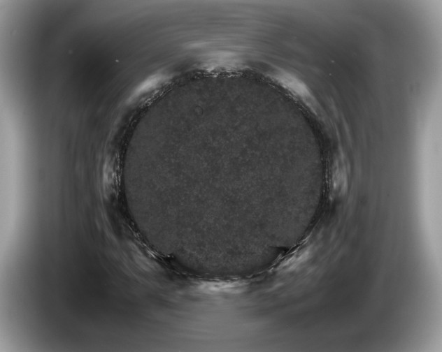 X0000087521063200704271136