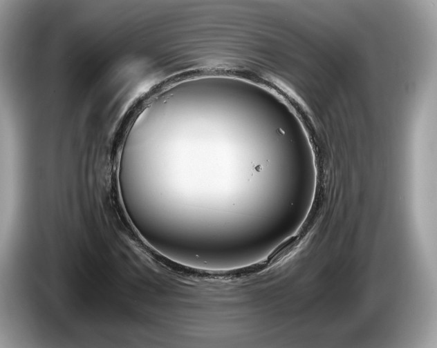 X0000087521067200704271136