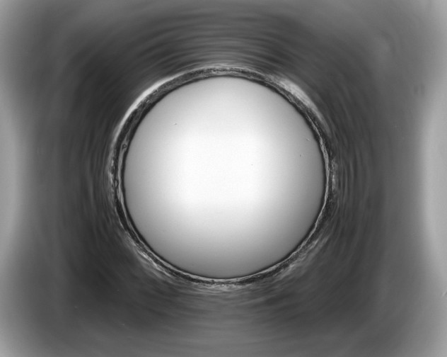 X0000087521068200704271136