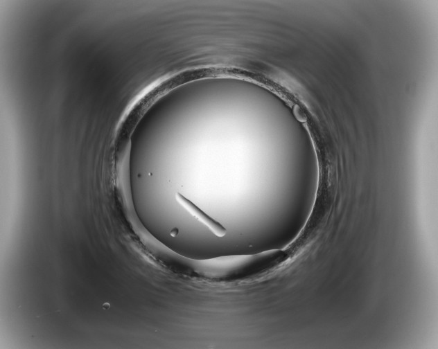 X0000087521069200704271136