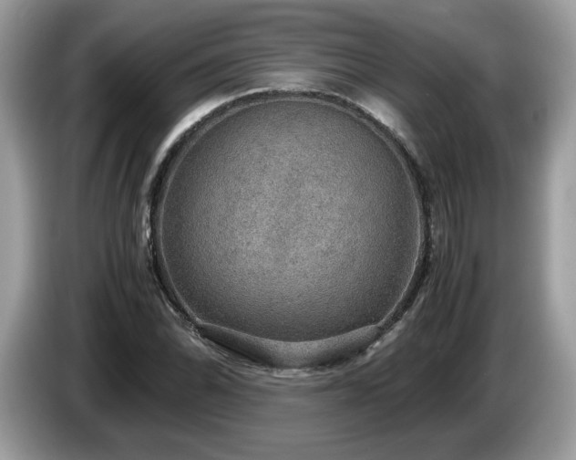 X0000087521070200704271136