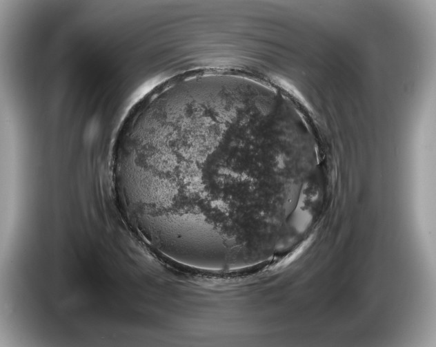 X0000087521071200704271136