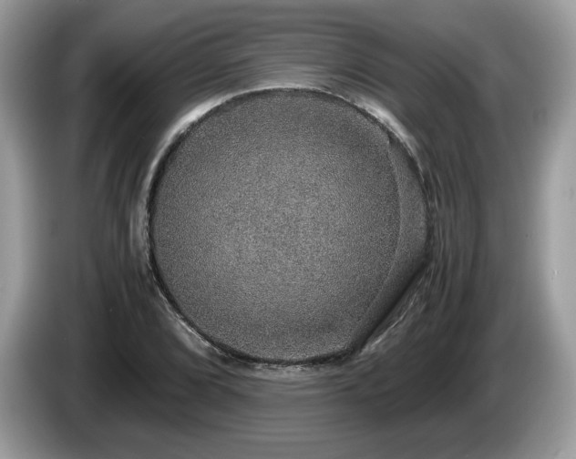 X0000087521072200704271136