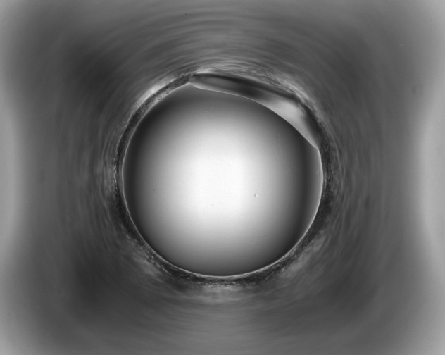 X0000087521073200704271136