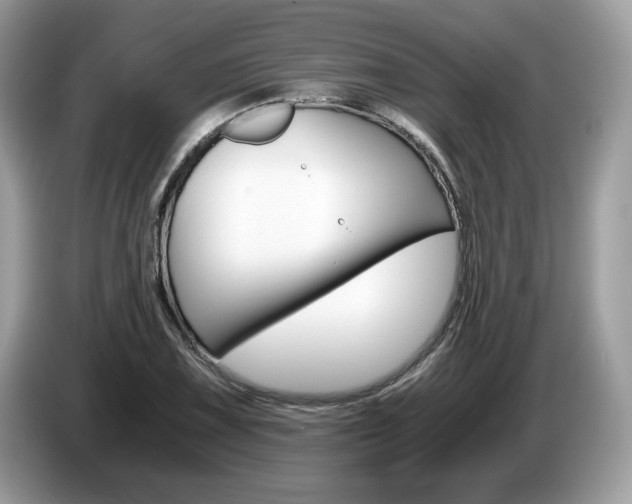 X0000087521075200704271136