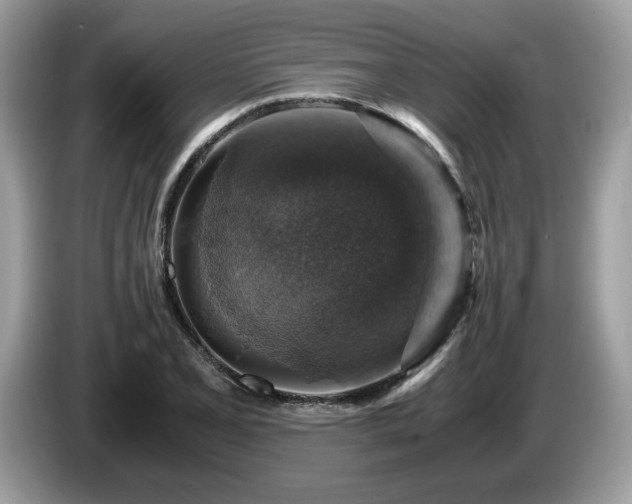 X0000087521077200704271136