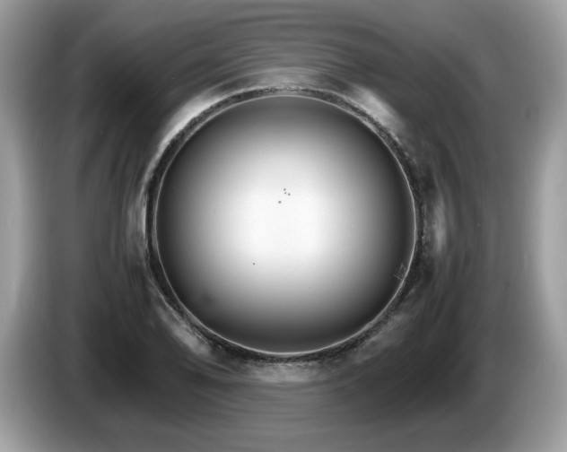 X0000087521078200704271136