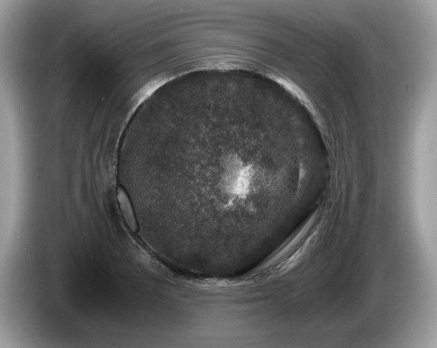 X0000087521081200704271136