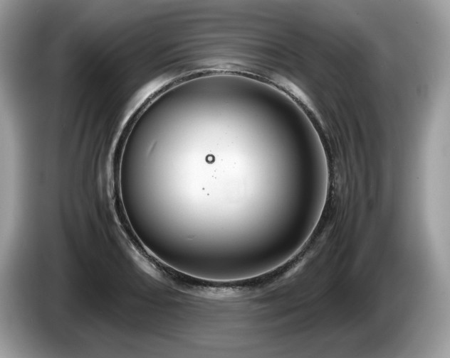 X0000087521082200704271136