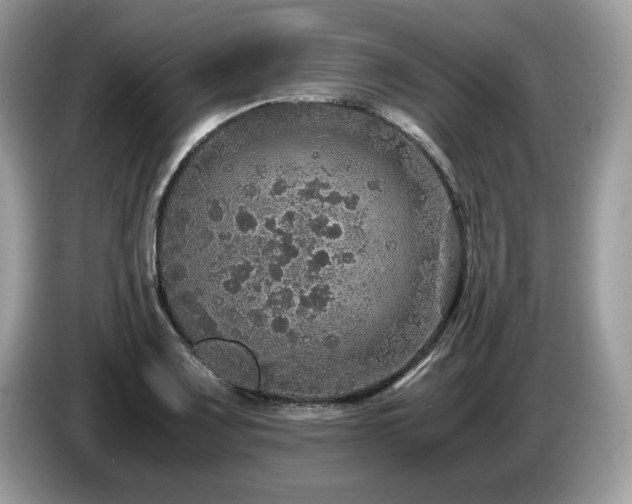 X0000087521083200704271136
