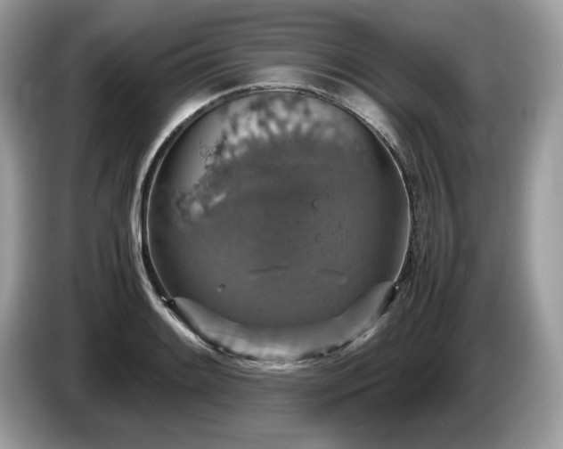 X0000087521084200704271136