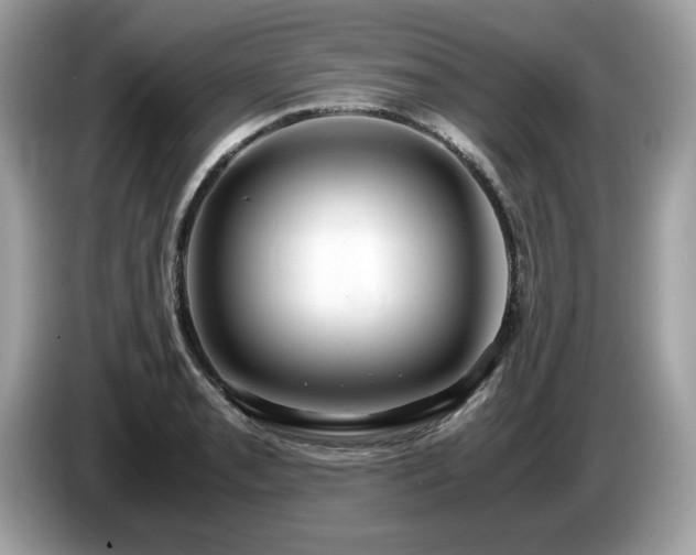 X0000087521085200704271136