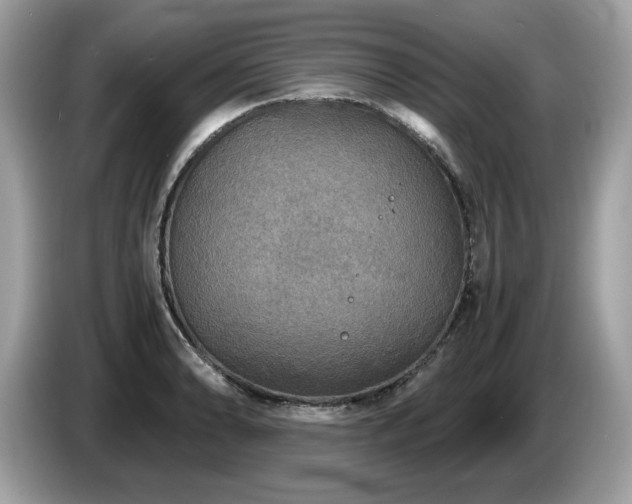 X0000087521086200704271136