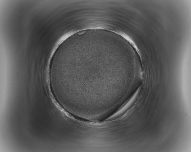 X0000087521088200704271136