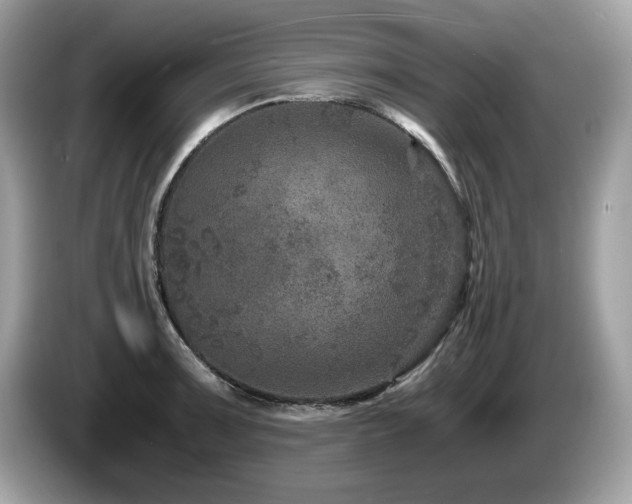 X0000087521091200704271136