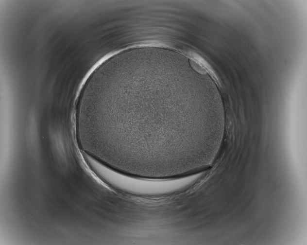 X0000087521092200704271136