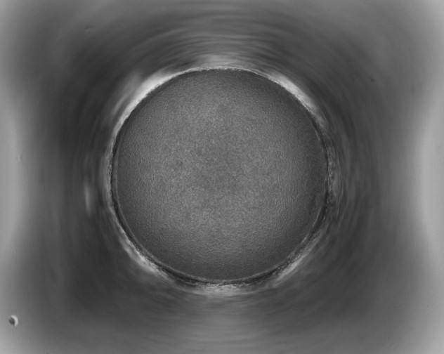 X0000087521094200704271136