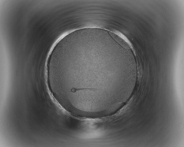 X0000087521096200704271136