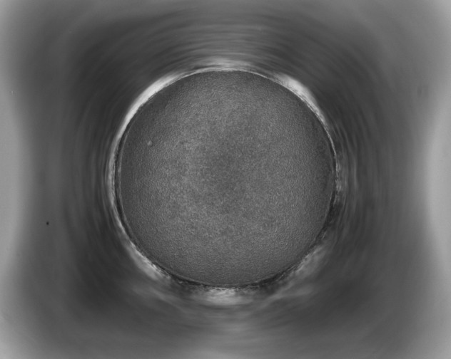 X0000087521098200704271136