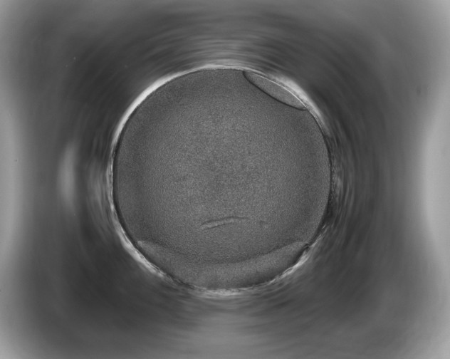 X0000087521100200704271136