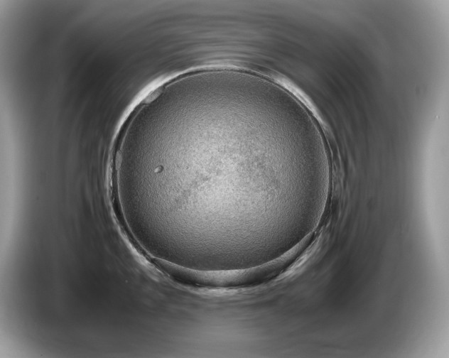 X0000087521101200704271136