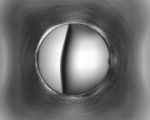 X0000087521102200704271136