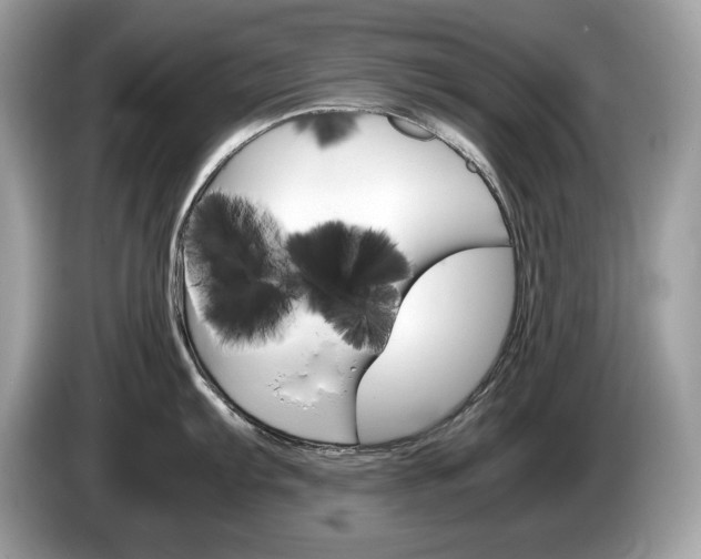 X0000087521103200704271136