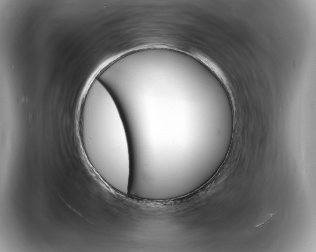 X0000087521104200704271136