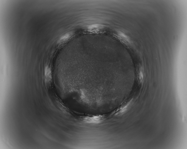 X0000087521106200704271135