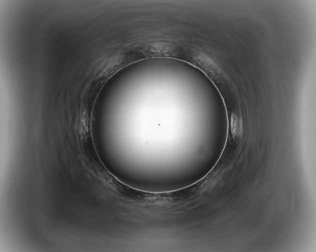 X0000087521107200704271135