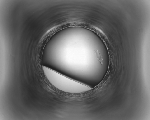 X0000087521112200704271135