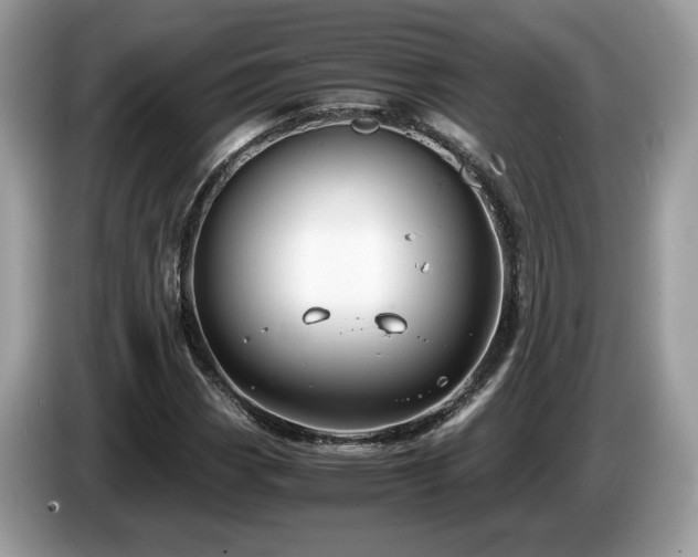 X0000087521113200704271135